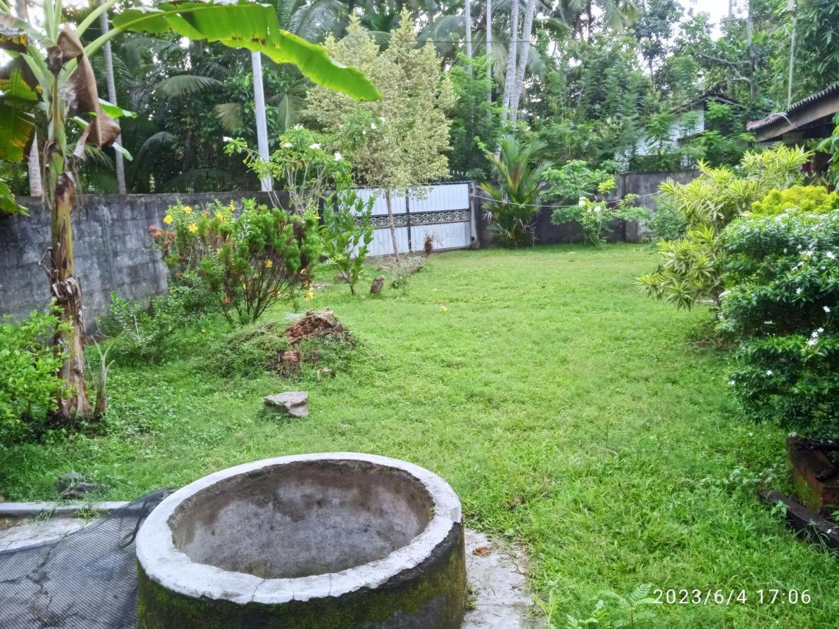 Coco Cabins By Thush Bentota Exterior foto